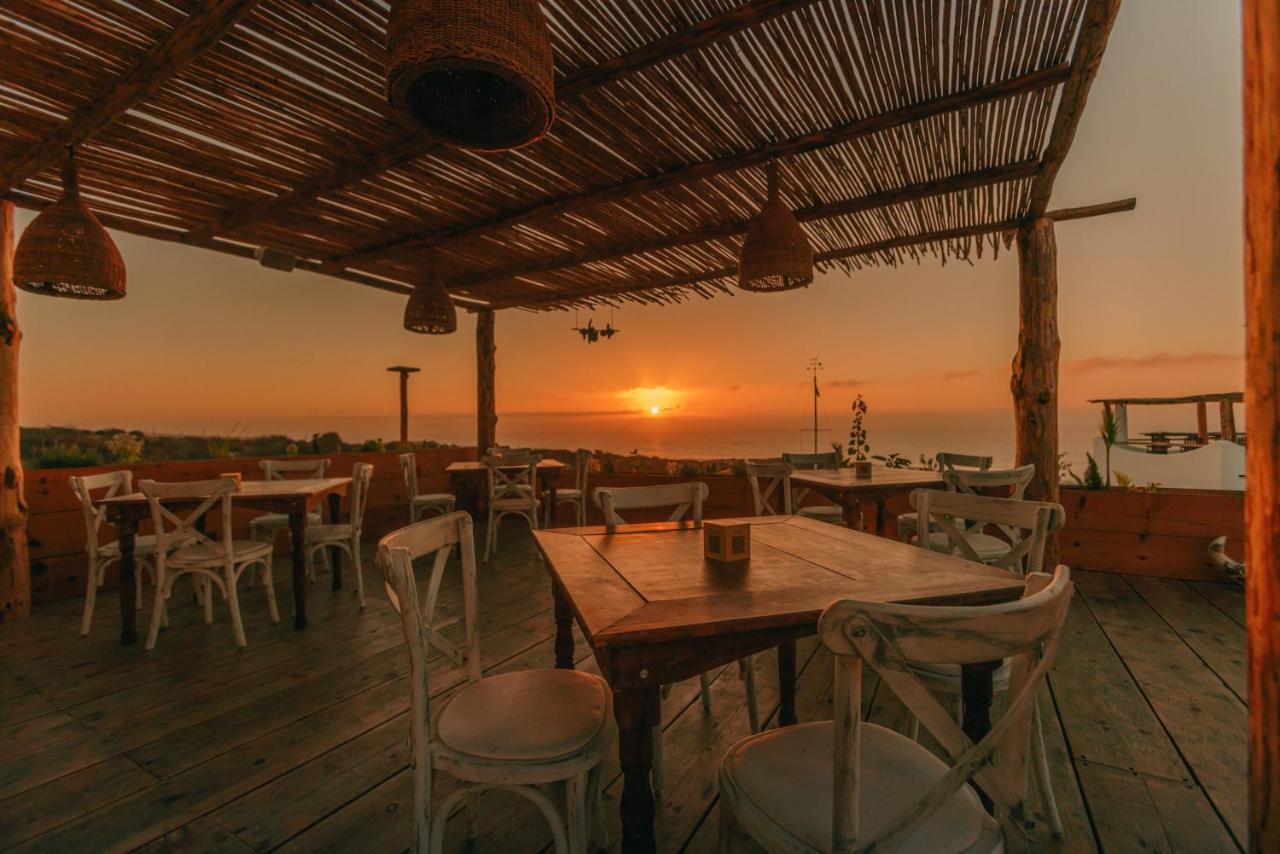 Nest Baja Hotel San Jose del Cabo Luaran gambar
