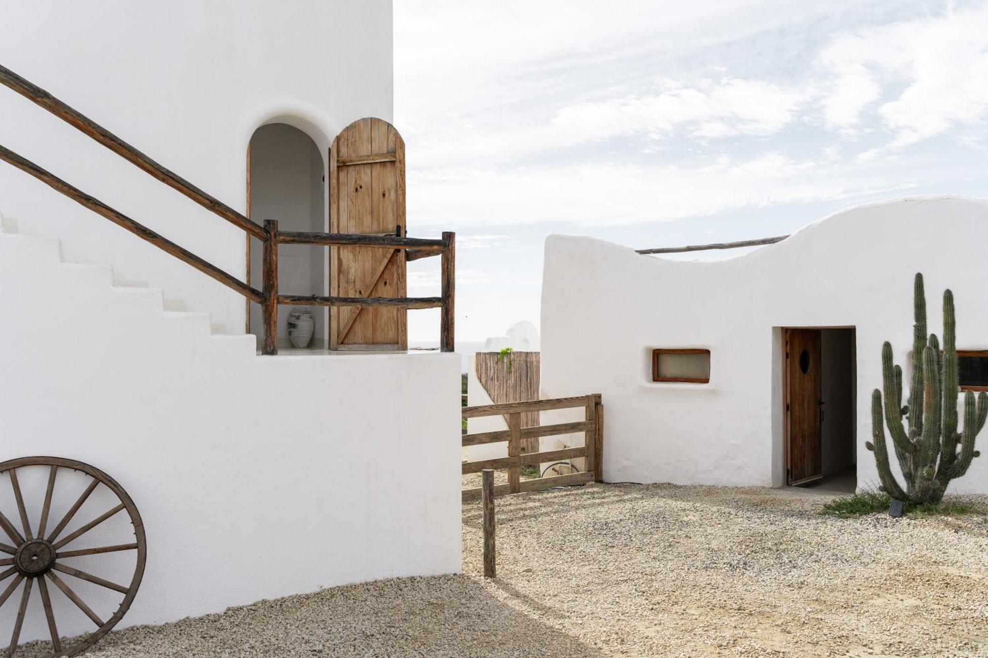 Nest Baja Hotel San Jose del Cabo Luaran gambar